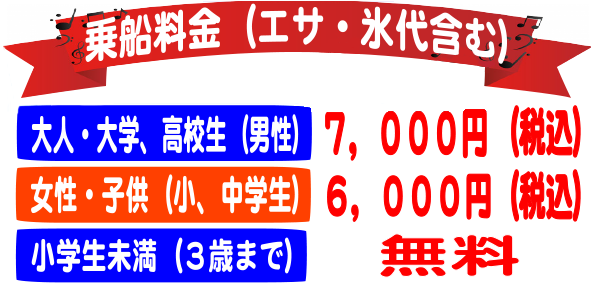 料金