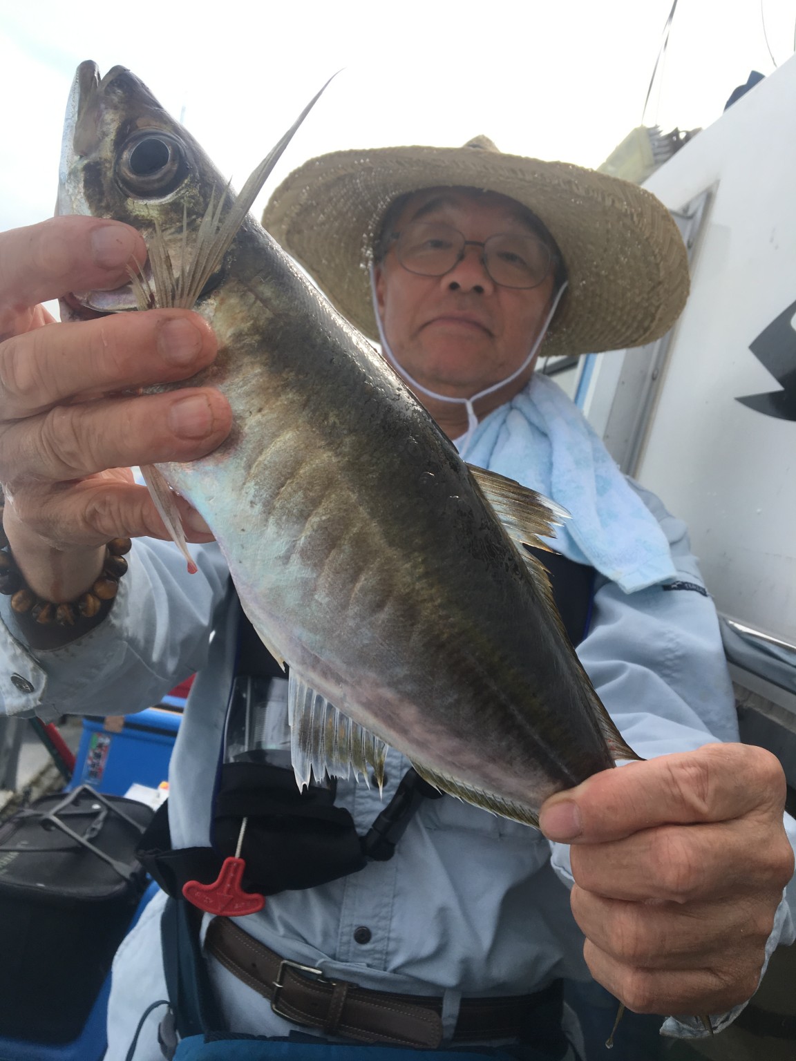 大阪 大阪湾の釣り船 夢丸 遊漁船