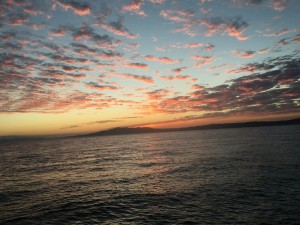 IMG_8910