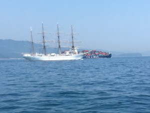 IMG_5867