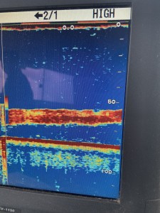 0CD6104F-2C03-42CB-BEB2-819E5380ED32