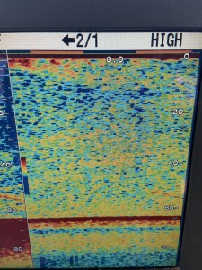 6AC8CDE2-6C23-4744-AA4E-C487EC7F60DE