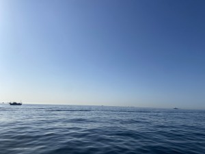 IMG_8699