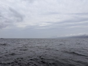 IMG_9151