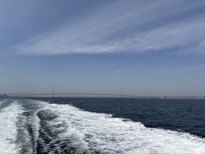 IMG_9256