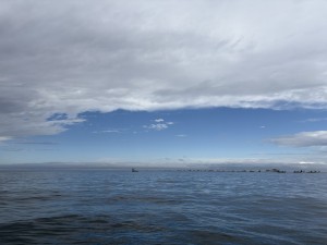 IMG_9276