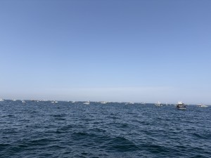 IMG_9310