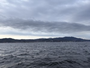 IMG_9331