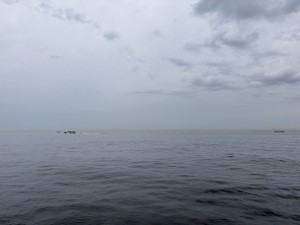 IMG_9465