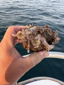 IMG_9658