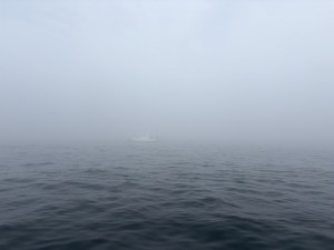 IMG_9694