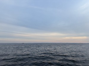 IMG_9741