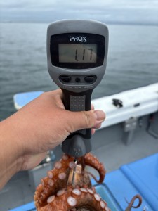 IMG_0065