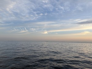 IMG_0139