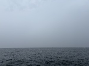 IMG_0172