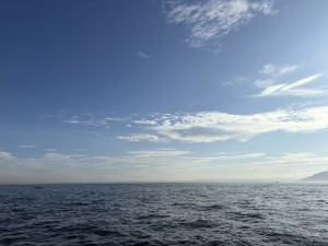 IMG_0194