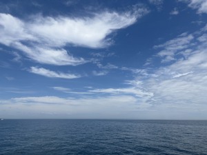 IMG_0227