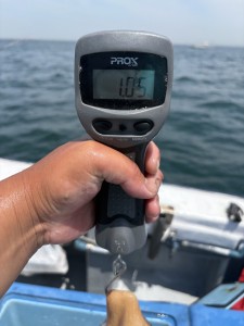 IMG_0318