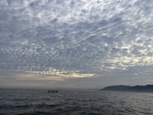 IMG_0528