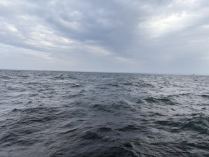 IMG_9826