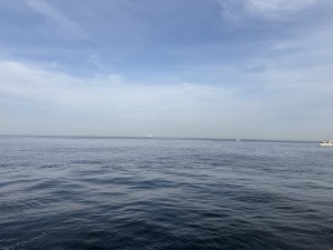 IMG_9944