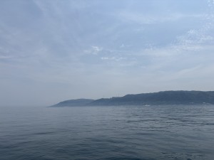 IMG_0630
