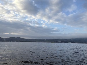 IMG_0952