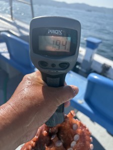 IMG_0987