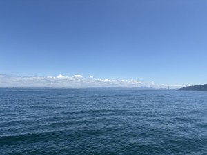 IMG_1006