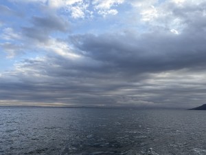 IMG_1043