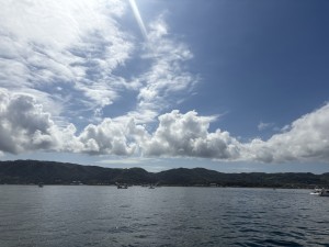 IMG_1281