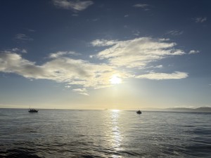 IMG_1303