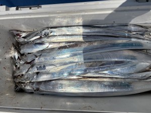 IMG_1450
