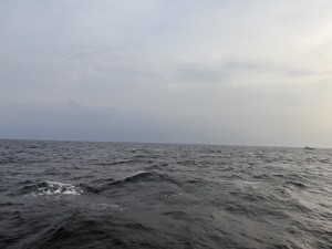 IMG_1505