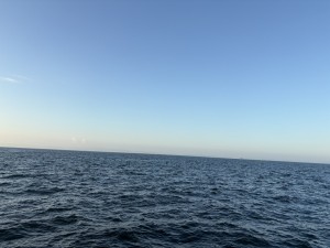 IMG_1532