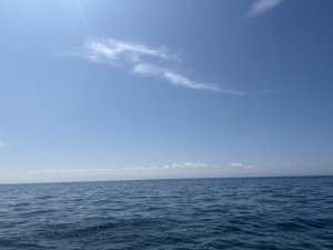 IMG_1547