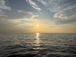 IMG_1548