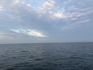 IMG_1598