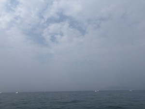 IMG_1902
