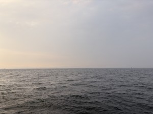 IMG_1905