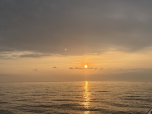 IMG_1972