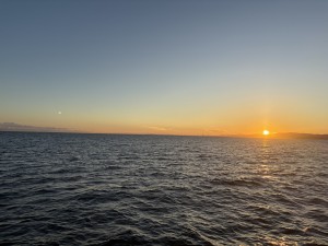 IMG_2135