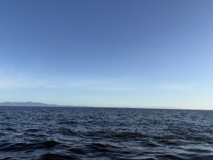 IMG_2200