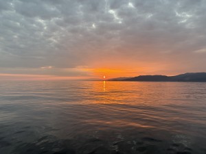 IMG_2398