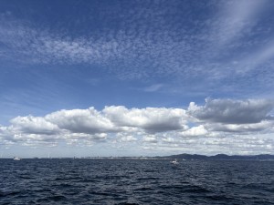 IMG_2560