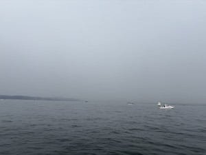 IMG_2646