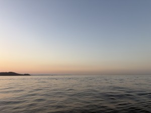 IMG_3042