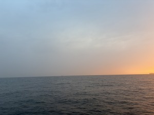 IMG_3081