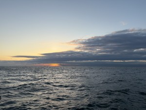 IMG_3279