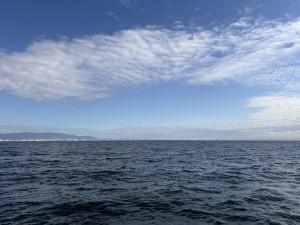 IMG_3293